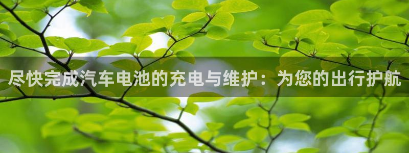 优发国际客服联系方式电话