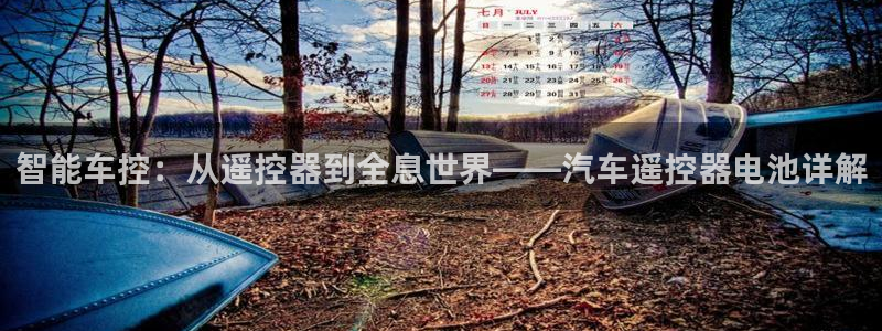 优发国际app登录：智能车控：从遥控器到全息世界——汽车遥控器电池详解