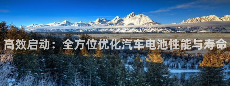 优发国际手机客户端下载安装手机版：高效启动：全方位优化汽车电池性能与寿命