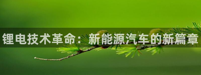 优发国际官网qy88：锂电技术革命：新能源汽车的新篇章