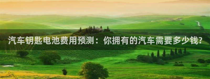 优发国际安卓版下载安装教程：汽车钥匙电池费用预测：你拥有的汽车需要多少钱?