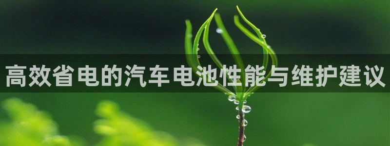 优发国际 干什么的