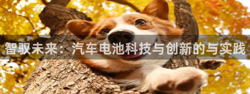 优发国际手机版唯一官网：智驭未来：汽车电池科技与创新的与实践