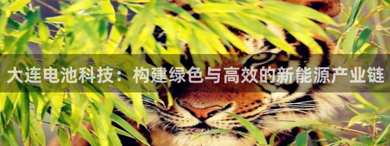 优发国际手机app下载安装官网：大连电池科技：构建绿色与高效的新能源产业链