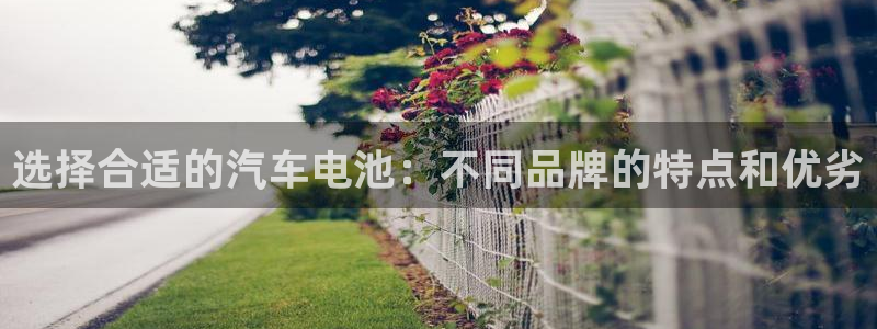 优发国际集团股份有限公司招聘：选择合适的汽车电池：不同品牌的特点和优劣