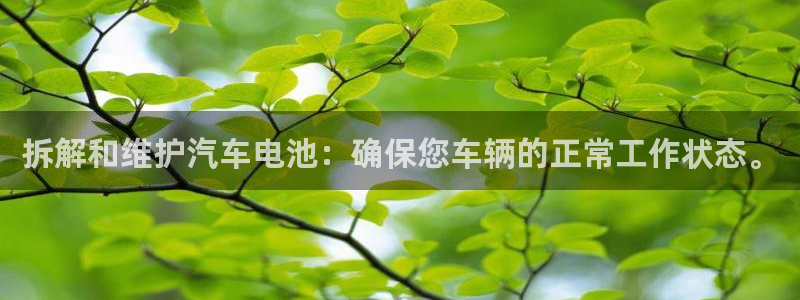 优发国际网官网17w80是什么：拆解和维护汽车电池：确保您车辆的正常工作状态。