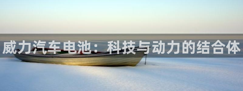 优发国际手机客户端下载：威力汽车电池：科技与动力的结合体