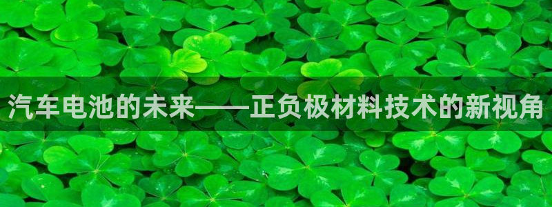优发国际官网下载app：汽车电池的未来——正负极材料技术的新视角
