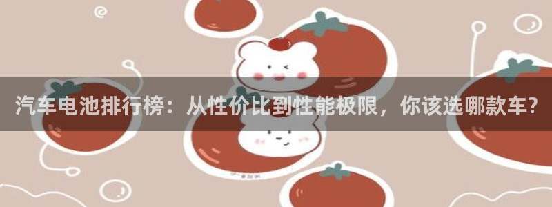 优发国际官方网手机版app：汽车电池排行榜：从性价比到性能极限，你该选哪款车?