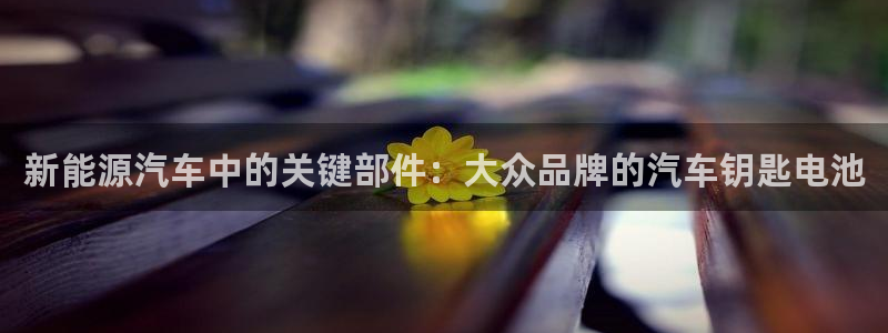 优发国际游戏：新能源汽车中的关键部件：大众品牌的汽车钥匙电池
