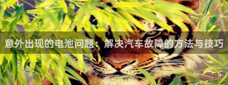 优发国际电话：意外出现的电池问题：解决汽