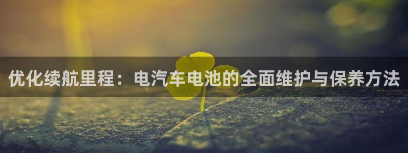 优发国际平台app下载官网：优化续航里程