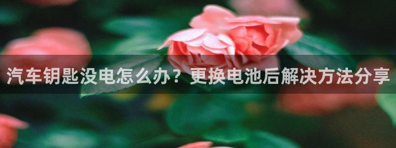 优发国际是大平台吗知乎