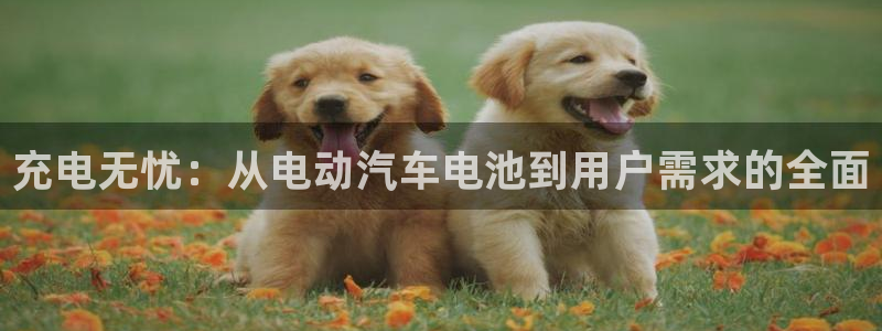优发娱乐pt官网客户端