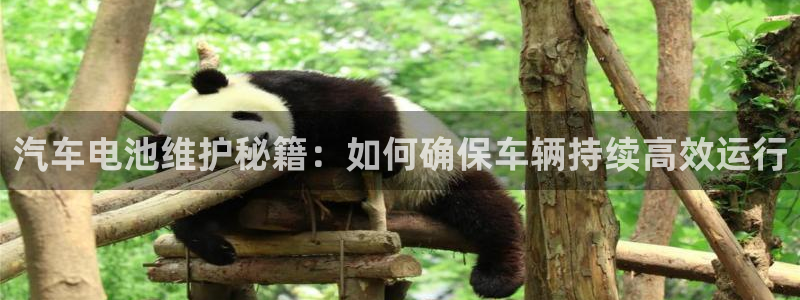 优发国际注册平台怎么样