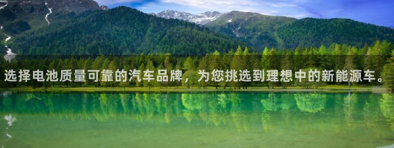 优发国际官方下载app：选择电池质量可靠的汽车品牌，为您挑选到理想中的新能源车。