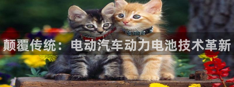 优发国际手机客户端下载安卓