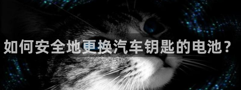 优发国际官方网平台
