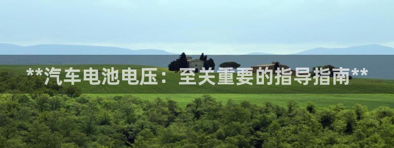 优发娱乐国际线上：**汽车电池电压：至关重要的指导指南**