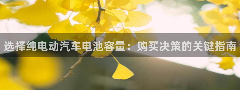 优发国际平台u8是什么公司：选择纯电动汽车电池容量：购买决策的关键指南
