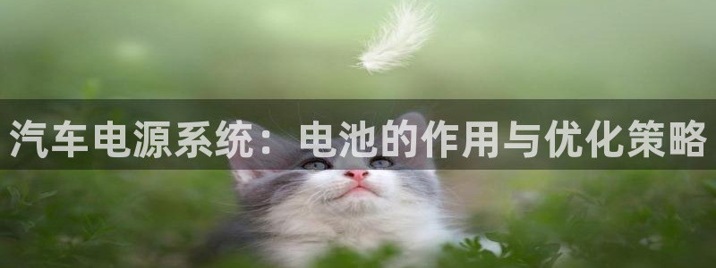 优发国际平台18岁能做吗：汽车电源系统：电池的作用与优化策略