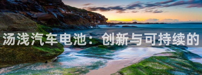 优发国际官方网手机版app：汤浅汽车电池：创新与可持续的