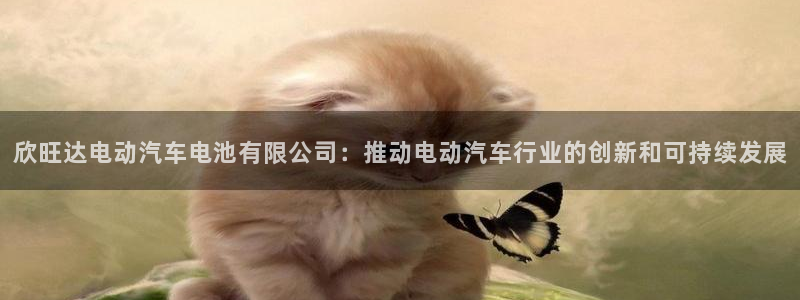 优发娱乐官网地址：欣旺达电动汽车电池有限公司：推动电动汽车行业的创新和可持续发展