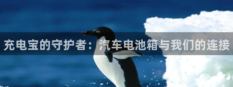 优发国际平台app下载苹果版：充电宝的守护者：汽车电池箱与我们的连接