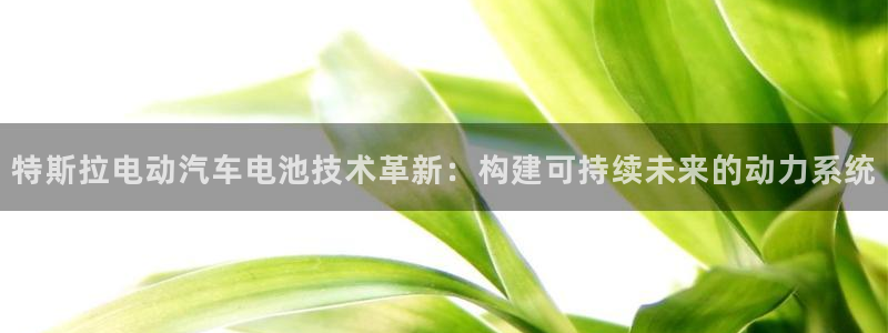 优发国际网站178：特斯拉电动汽车电池技术革新：构建可持续未来的动力系统