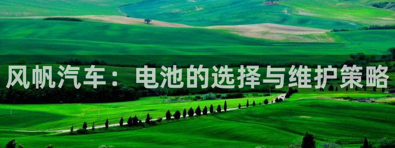 优发国际平台u8是什么：风帆汽车：电池的选择与维护策略