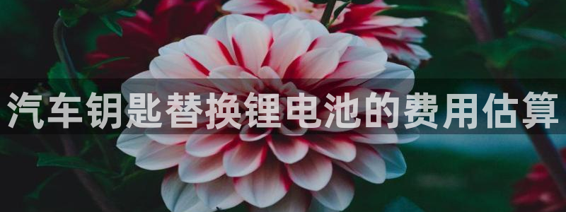 优发游戏官网