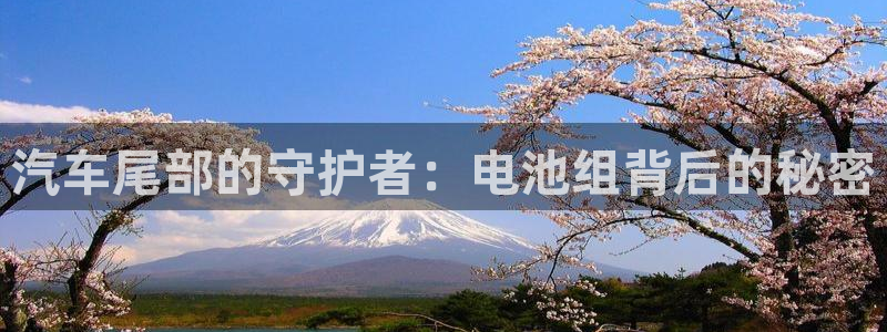 优发国际是大平台吗