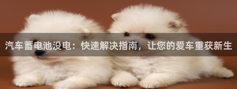 优发国际手机版唯一官网是什么：汽车蓄电池没电：快速解决指南，让您的爱车重获新生