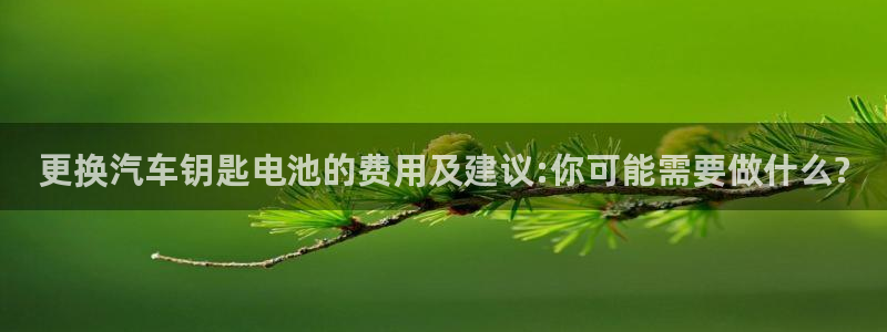 优发国际网官网17k8：更换汽车钥匙电池的费用及建议:你可能需要做什么?