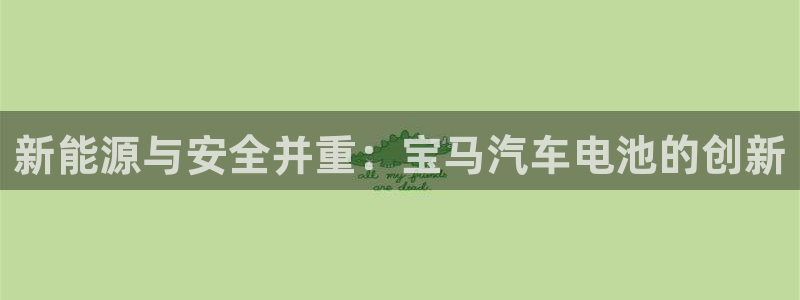 优发国际的官网是：新能源与安全并重：宝马汽车电池的创新