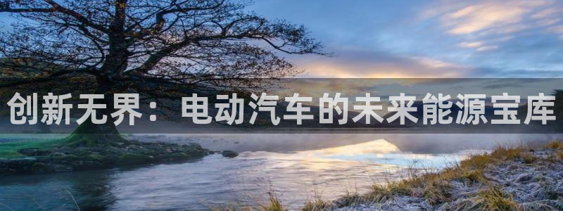 优发国际多少钱：创新无界：电动汽车的未来能源宝库