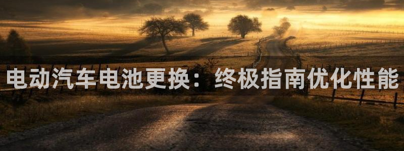优发娱乐国际线上营业时间：电动汽车电池更换：终极指南优化性能