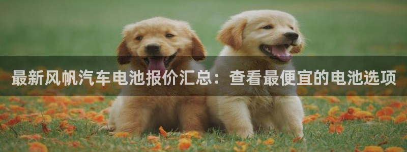 优发国际合并到哪里了：最新风帆汽车电池报价汇总：查看最便宜的电池选项