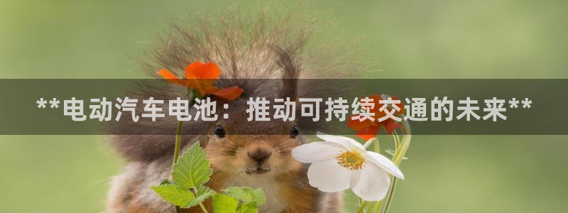 优发国际app官网下载安装苹果：**电动