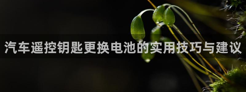 优发国际手机版：汽车遥控钥匙更换电池的实