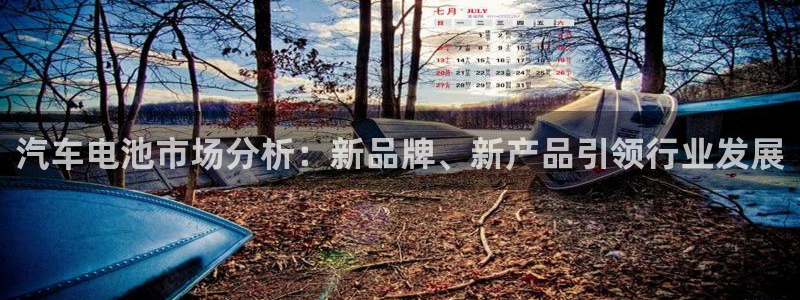 优发国际游戏官网：汽车电池市场分析：新品