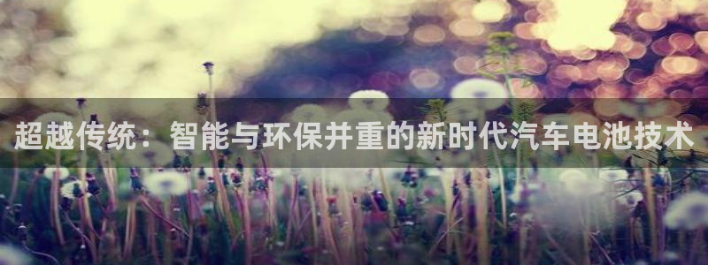 优发国际登录：超越传统：智能与环保并重的